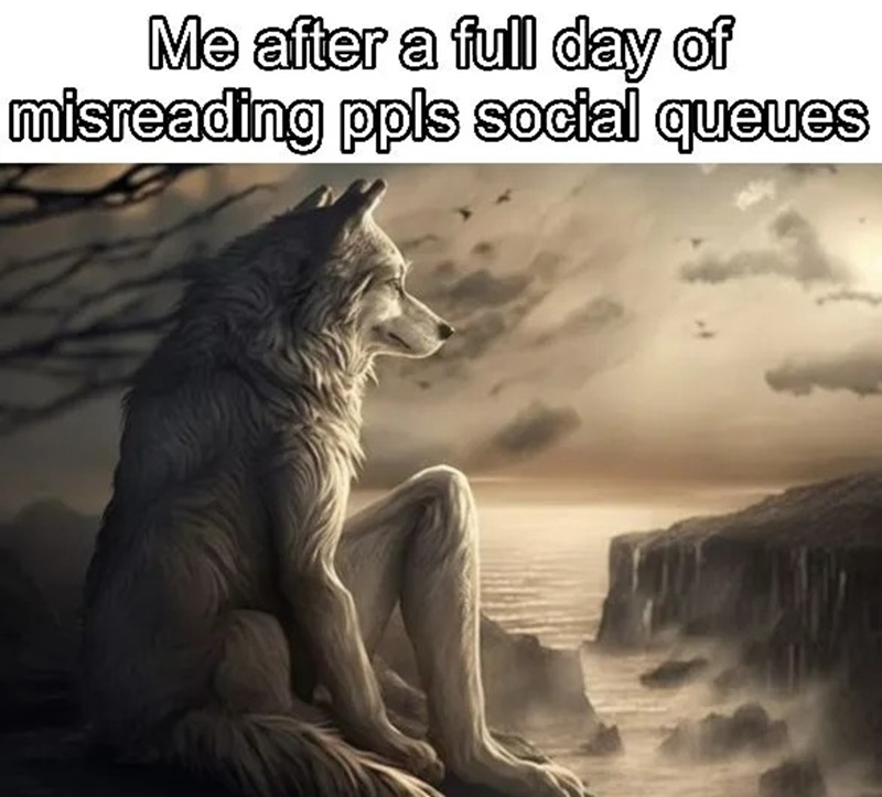 meme sói cô độc 32