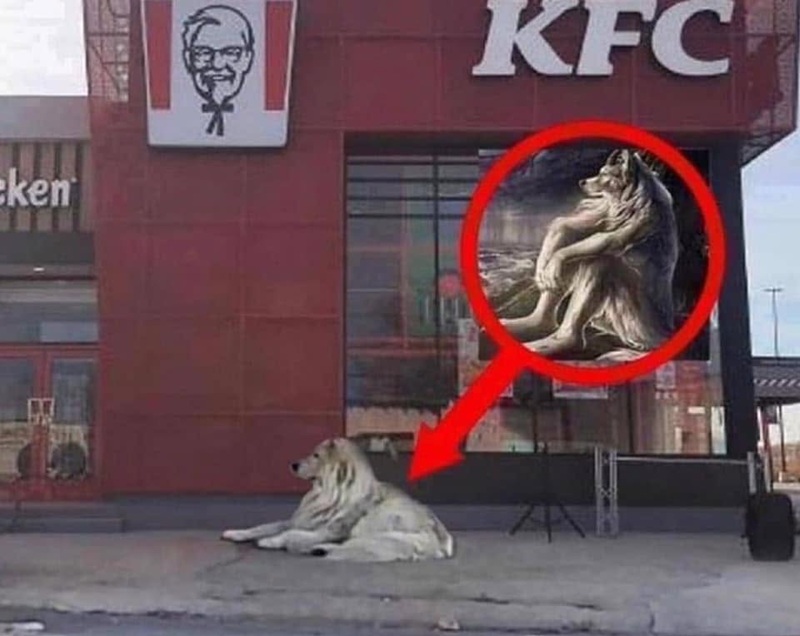 meme sói cô độc 4