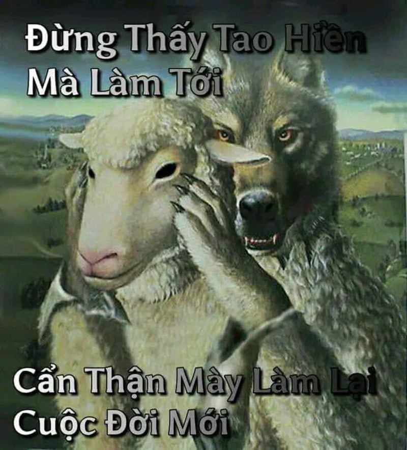 meme sói cô độc 5