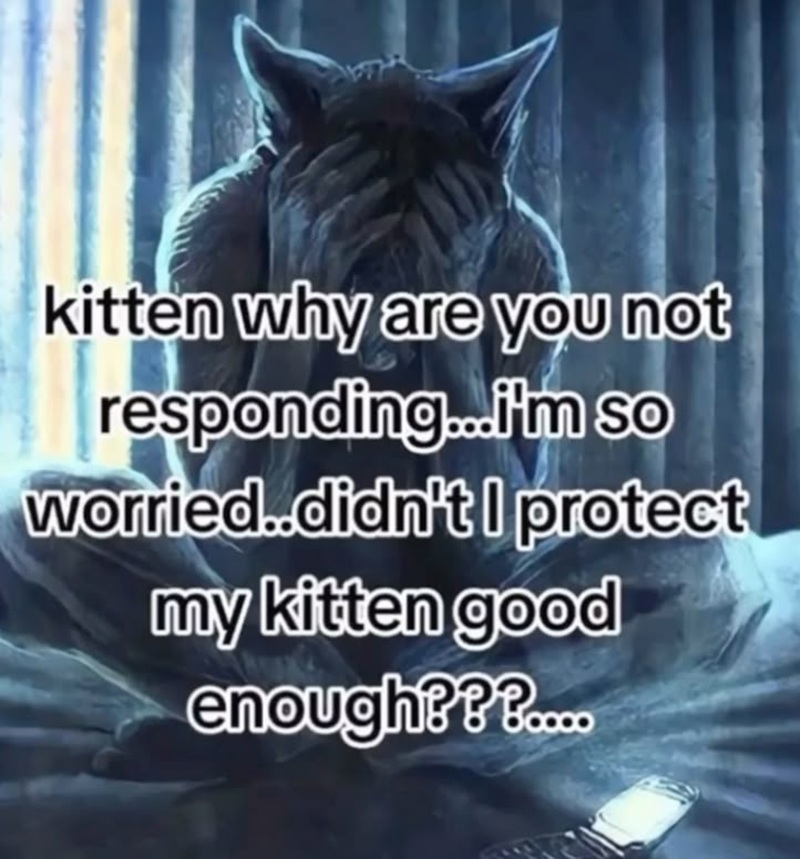 meme sói cô độc 8