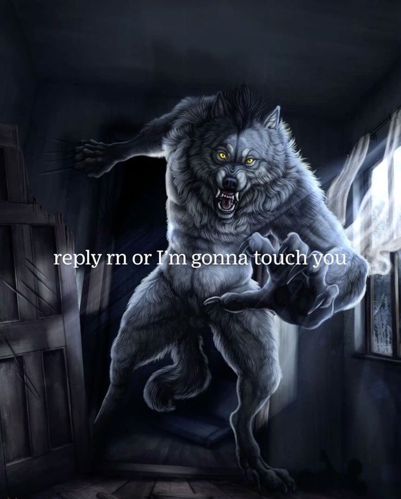 meme sói cô độc 9