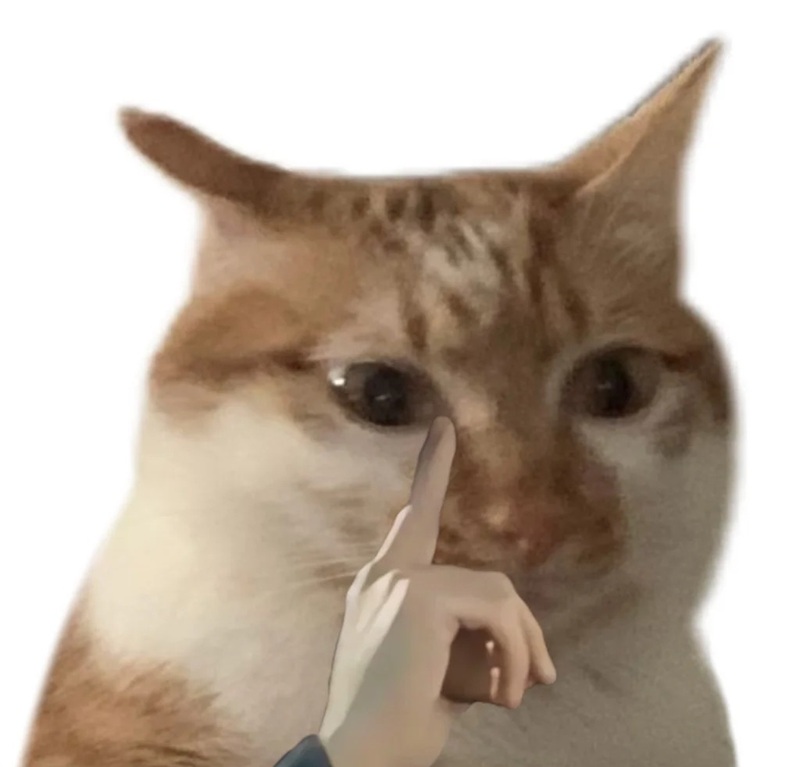 meme suy nghĩ 10