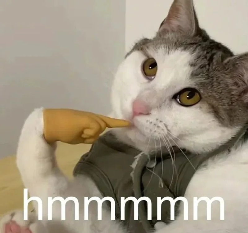 meme suy nghĩ 30