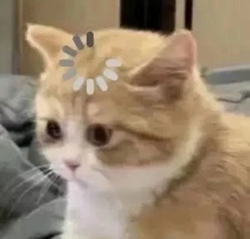 meme suy nghĩ 31