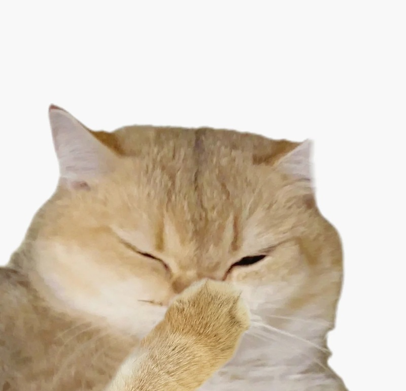 meme suỵt 11