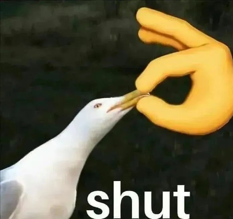 meme suỵt 29