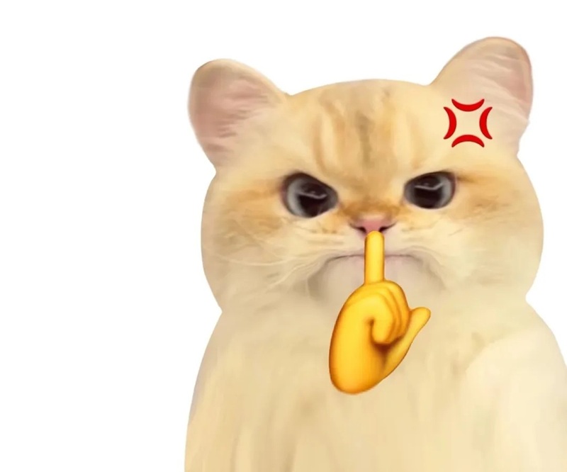 meme suỵt 30