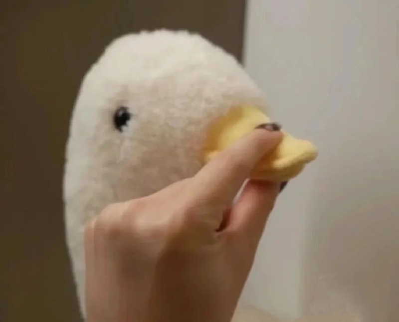 meme suỵt 4