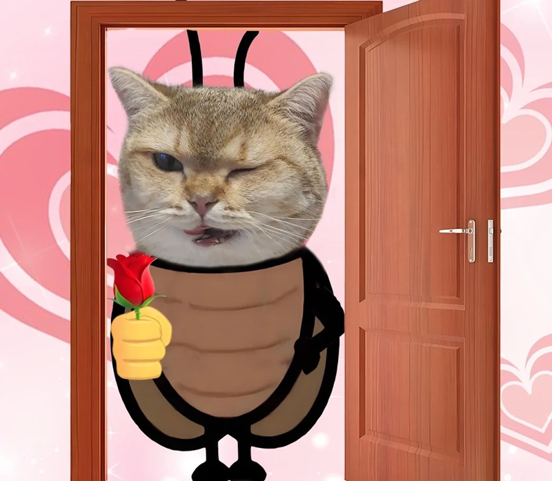meme tặng hoa 13