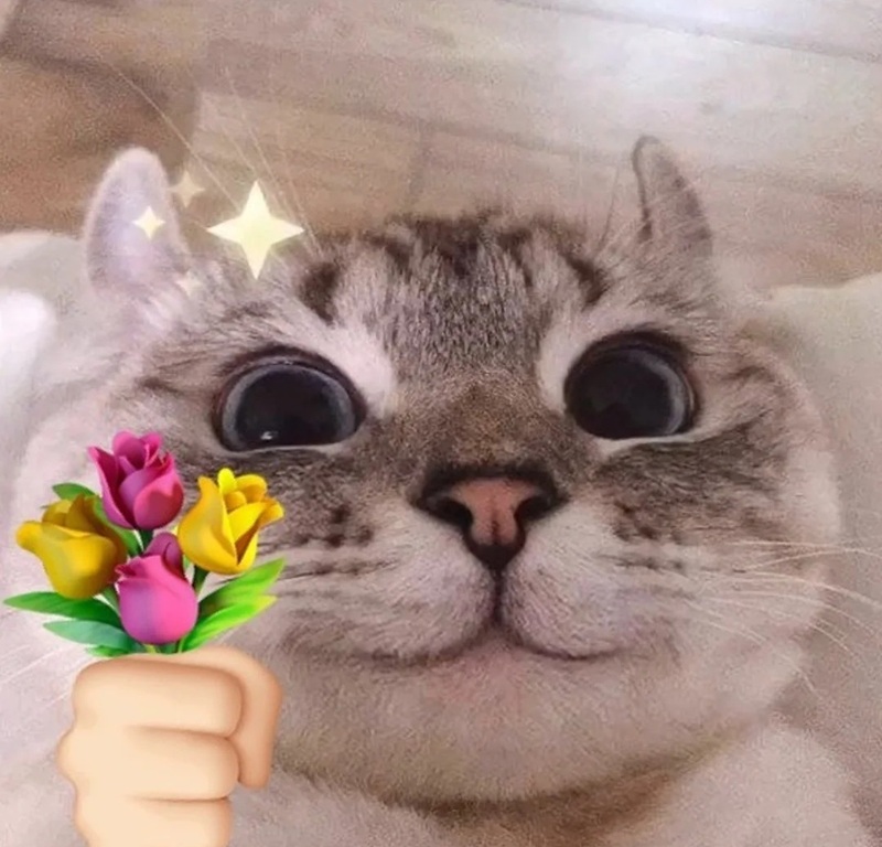 meme tặng hoa 22
