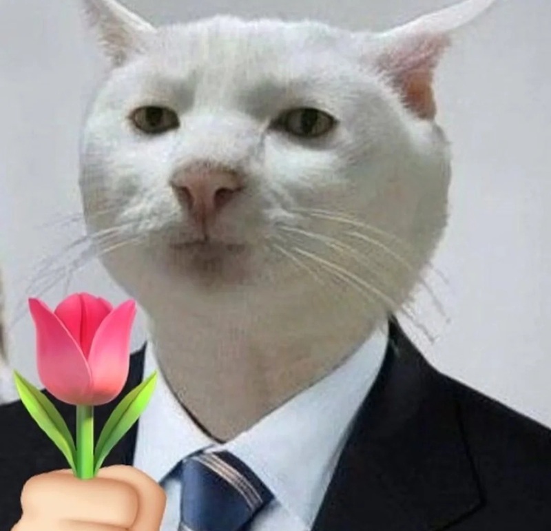 meme tặng hoa 26