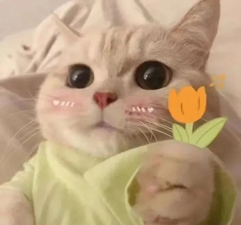 meme tặng hoa 27