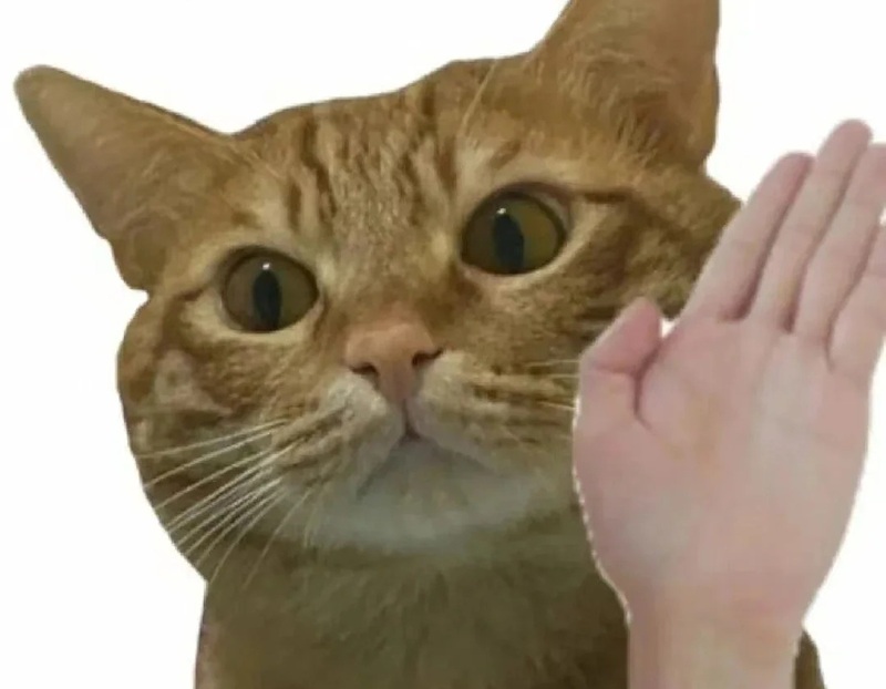 meme tát 32