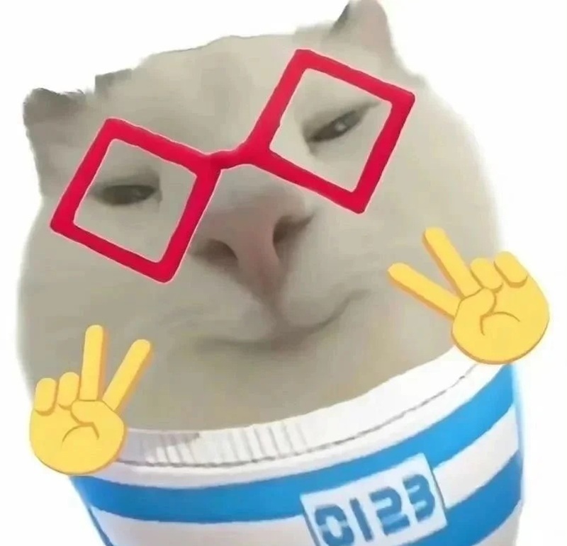 meme tấu hài 19