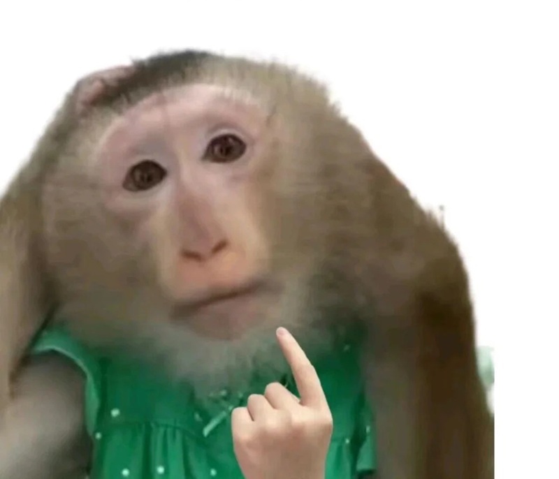 meme tấu hài 30