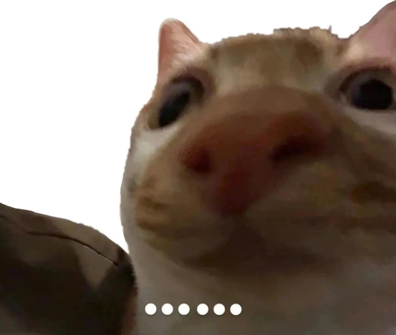 meme tấu hài 37