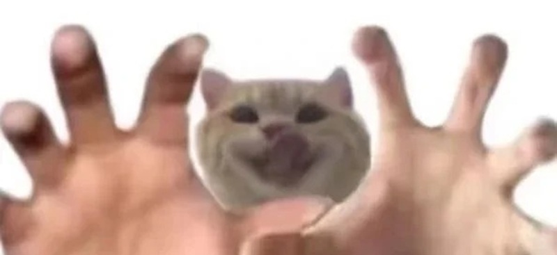 meme tấu hài 38