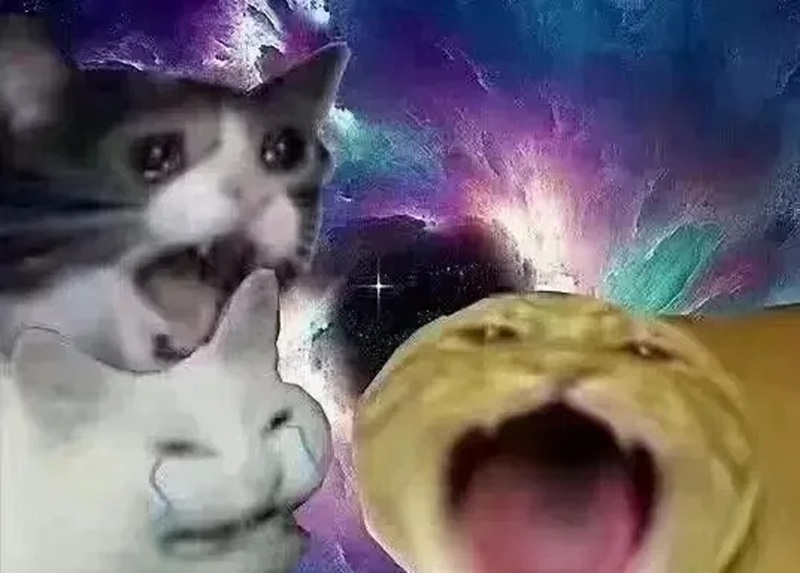 meme tấu hài 6