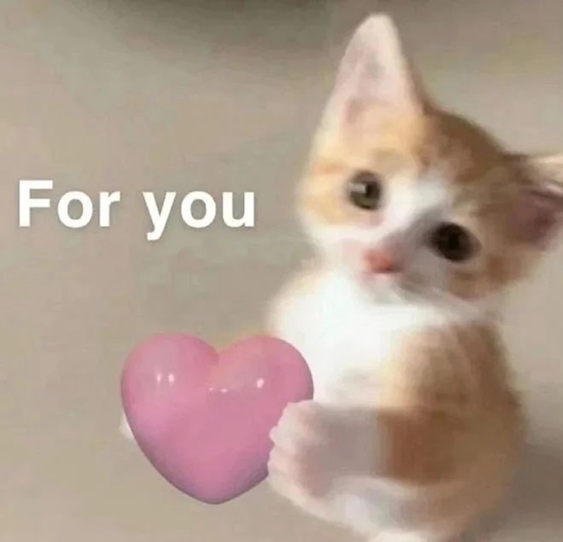 meme thả tim 6