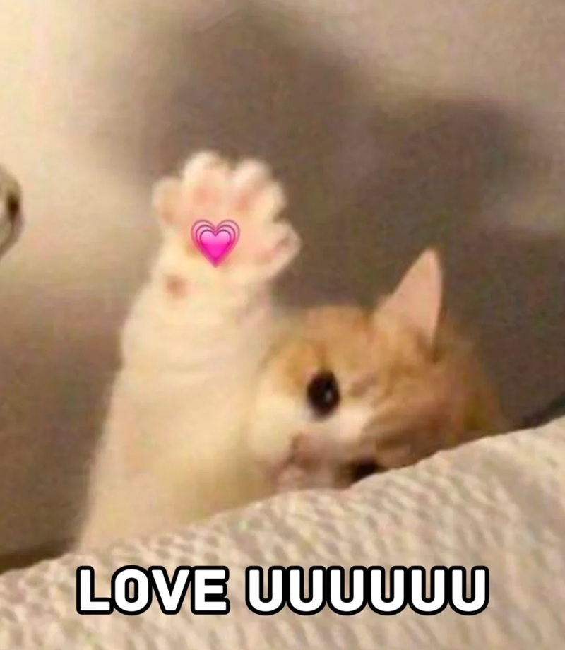 meme thả tim 9