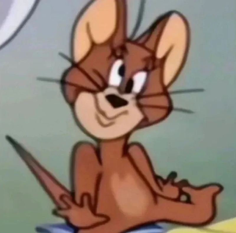 meme thiểu năng 12