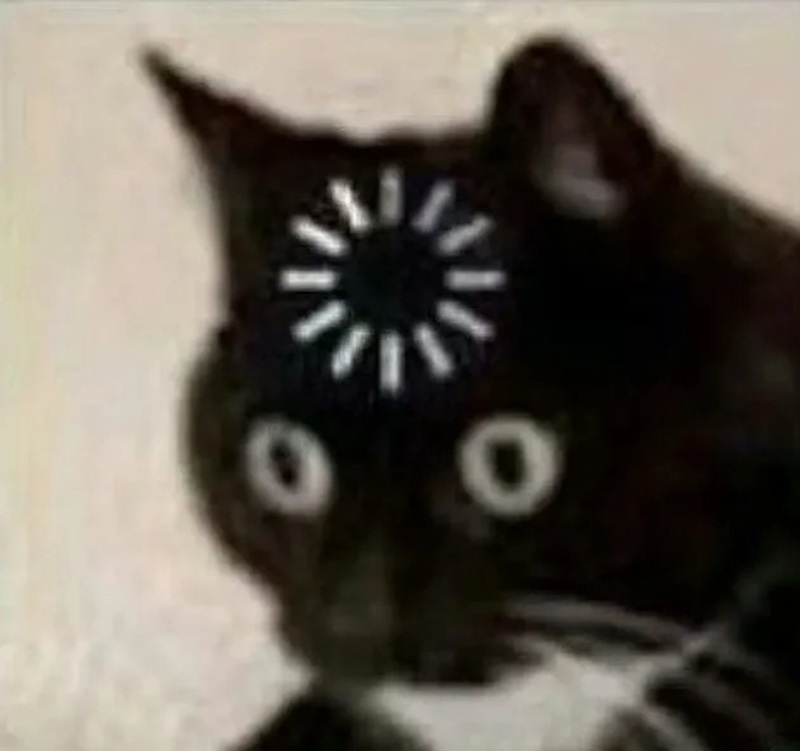 meme thiểu năng 21