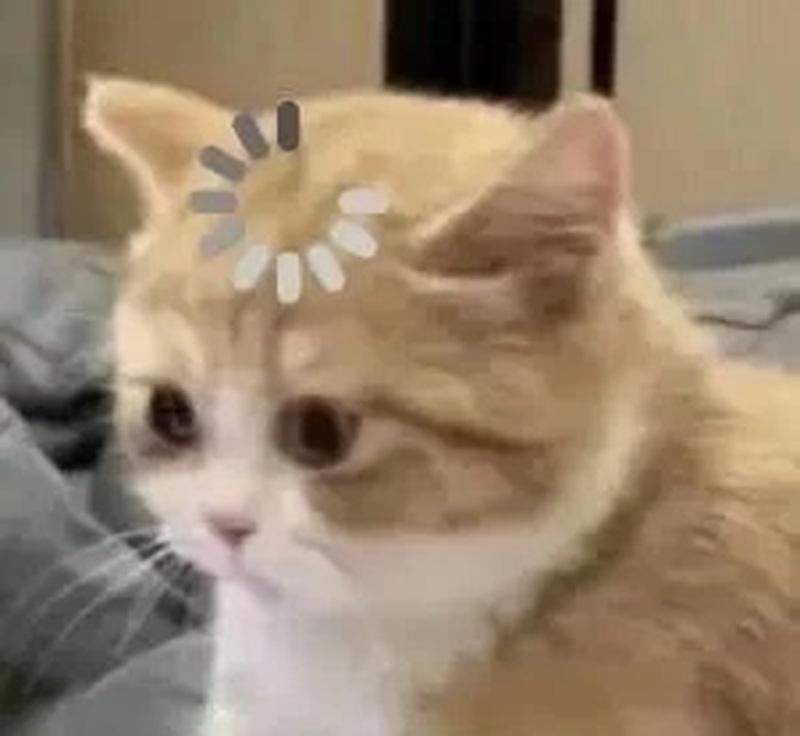 meme thiểu năng 32