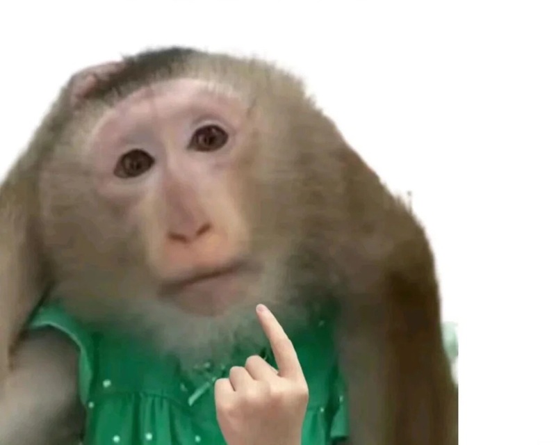 meme thiểu năng 35