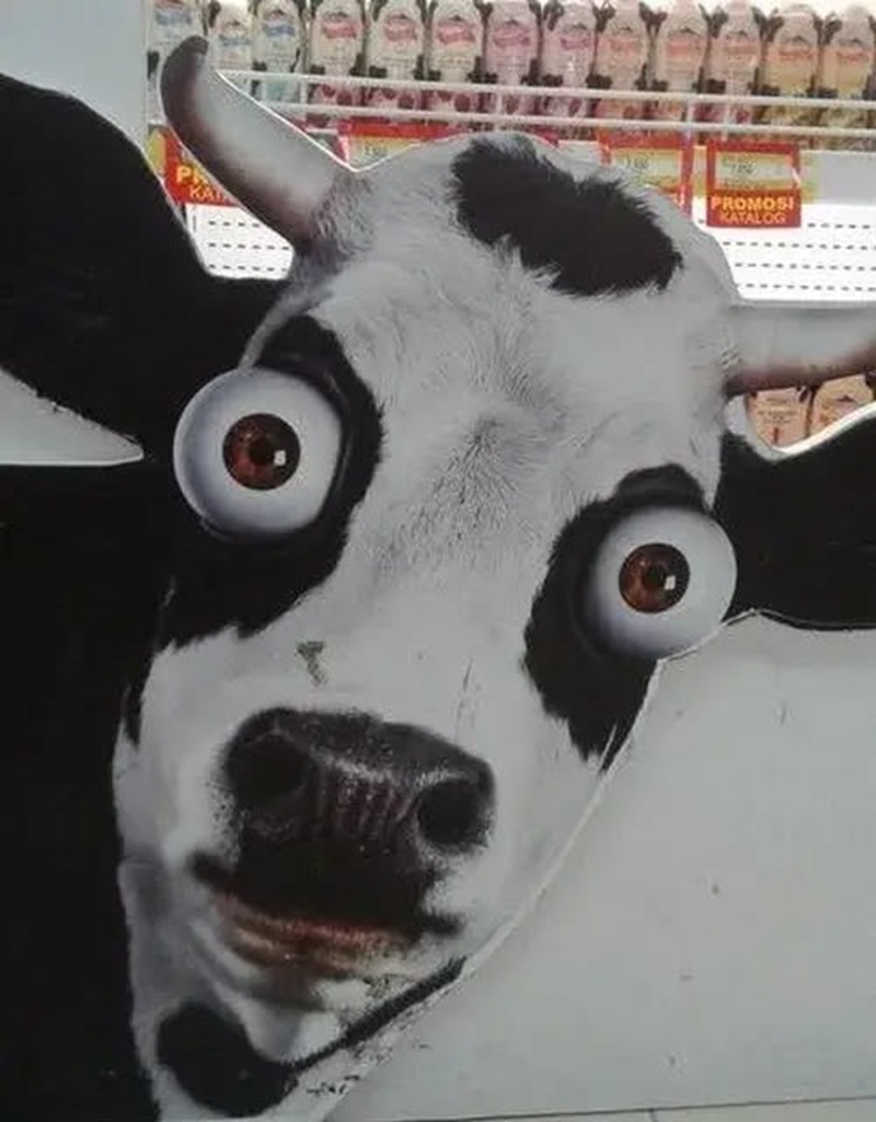 meme thiểu năng 7
