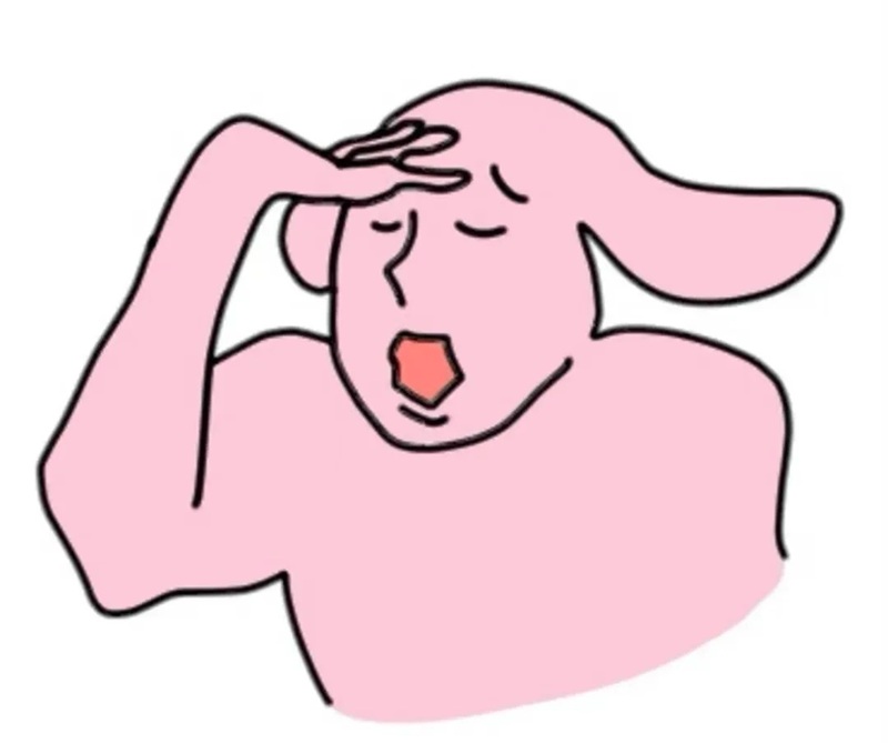 meme thỏ hồng 12