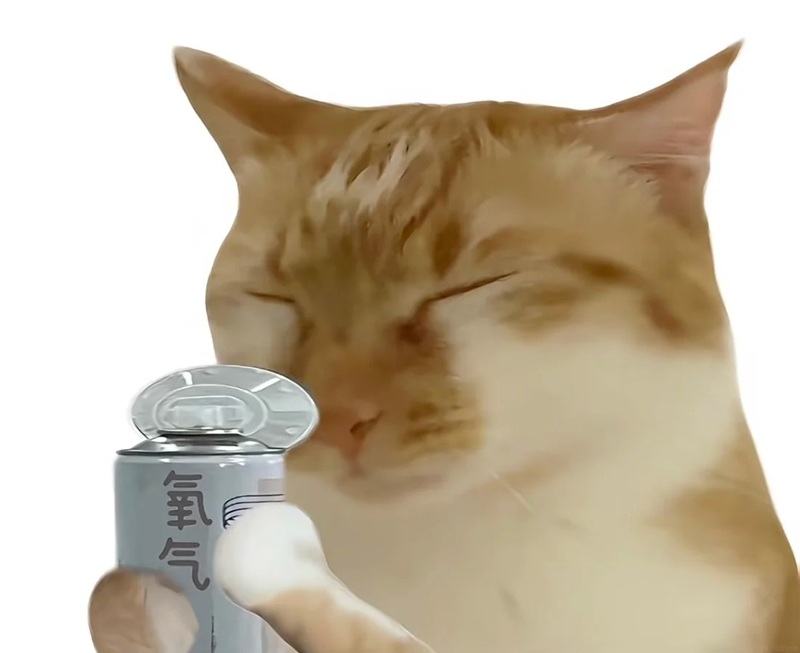 meme thở oxy 12