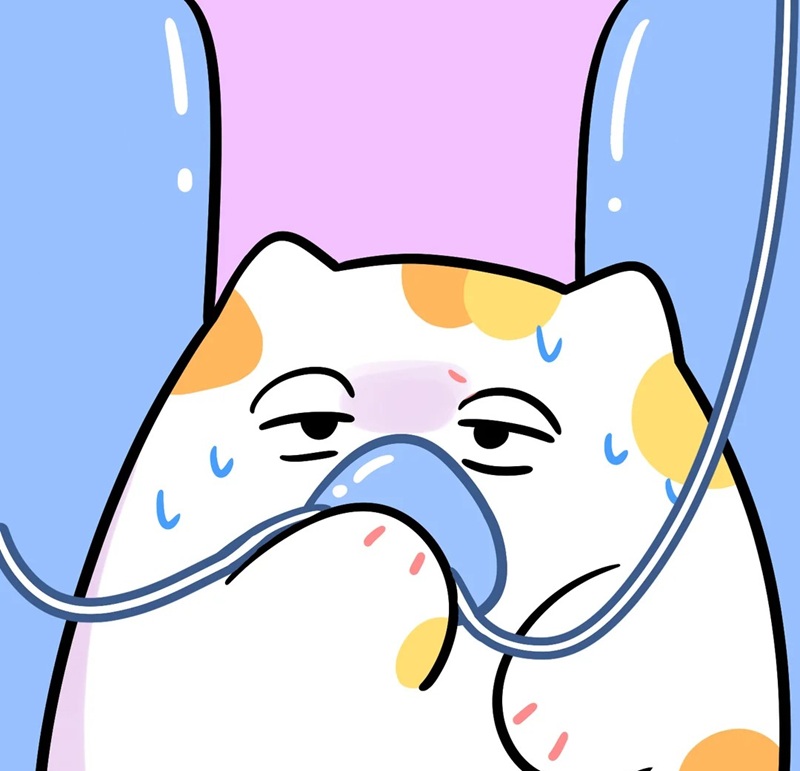 meme thở oxy 30