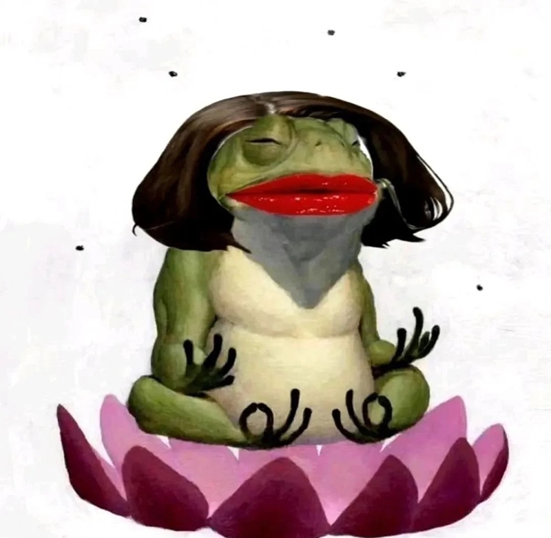 meme vô tri 14