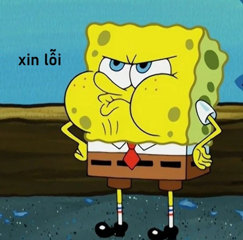 365+ Meme xin lỗi hài hước giúp bạn chữa cháy cực nhanh