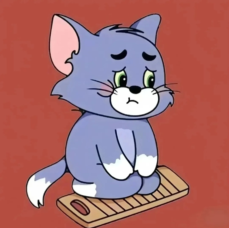 meme xin lỗi 26