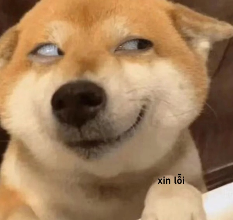 meme xin lỗi 27