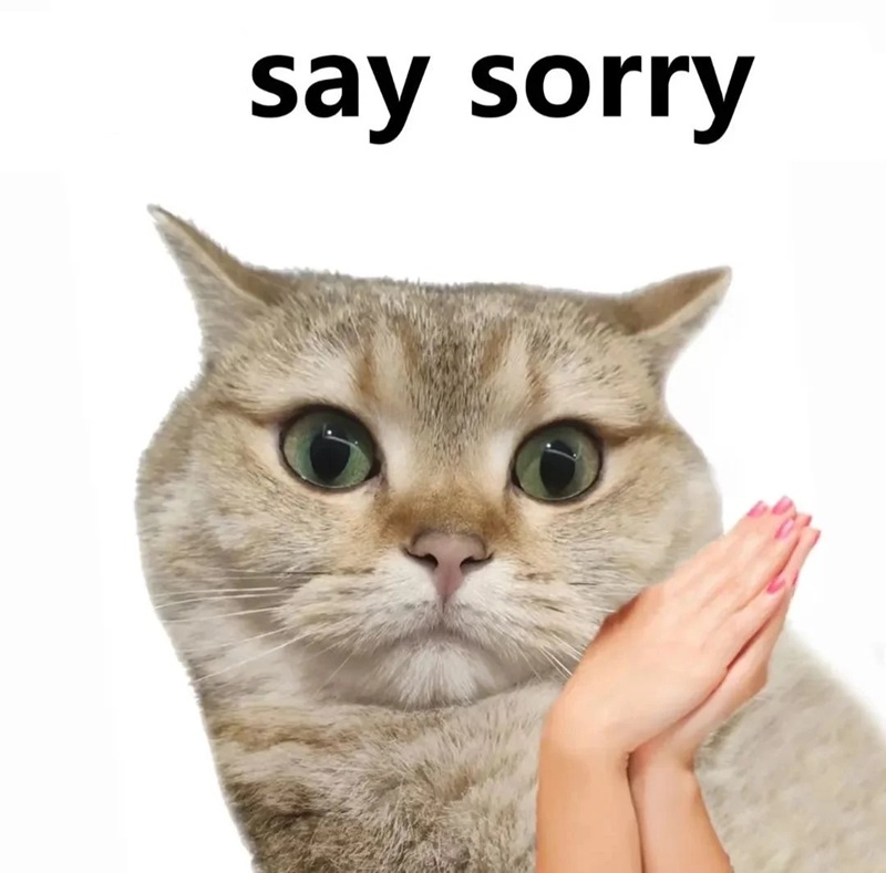 meme xin lỗi 35