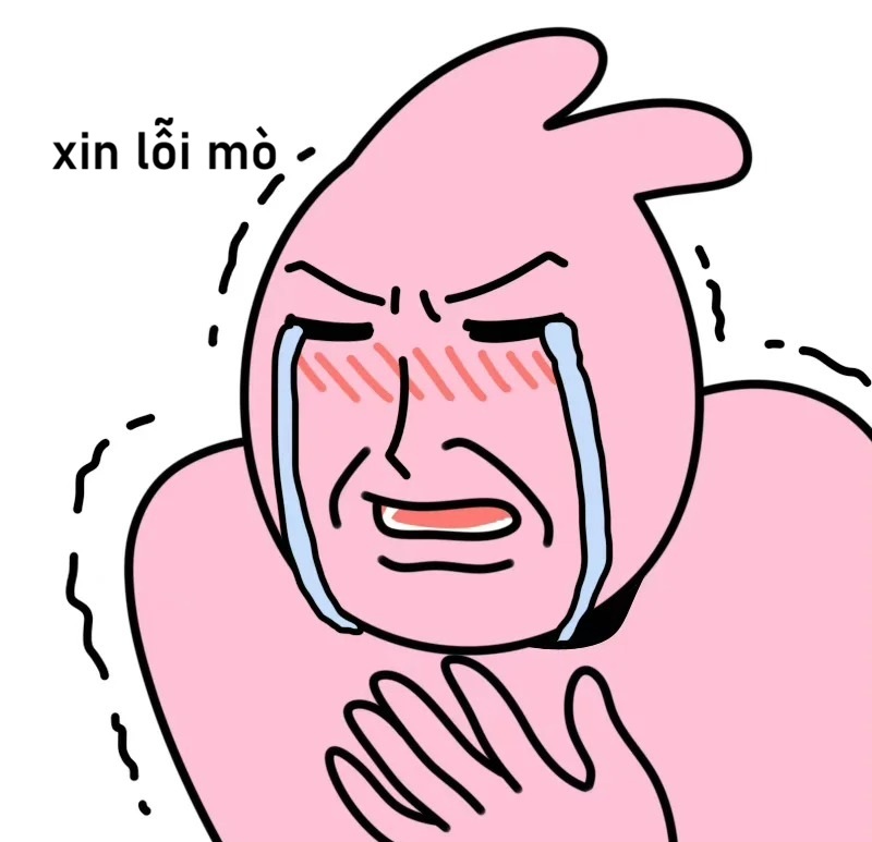 meme xin lỗi 40