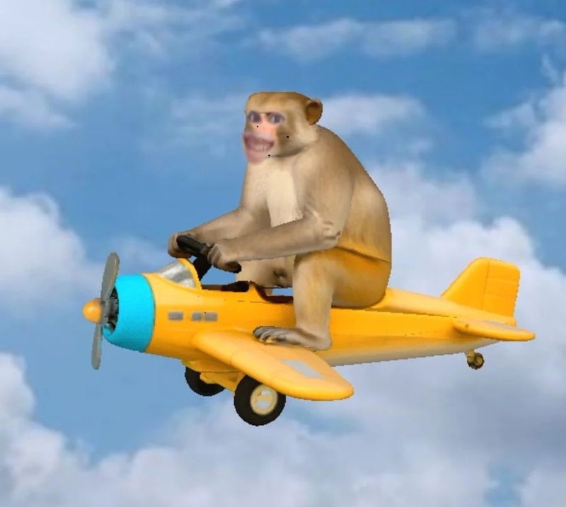 monkey meme 1