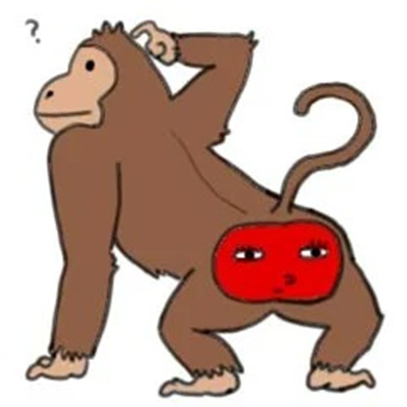 monkey meme 11
