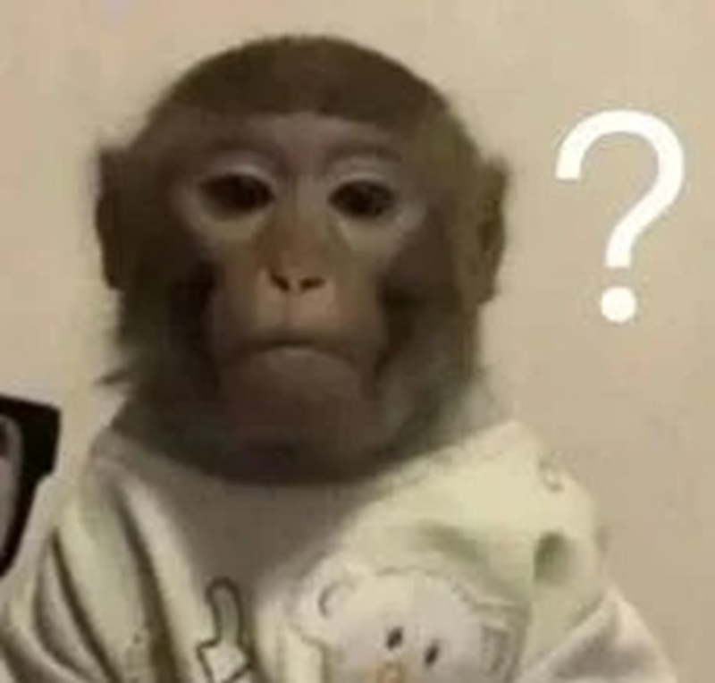 monkey meme 14