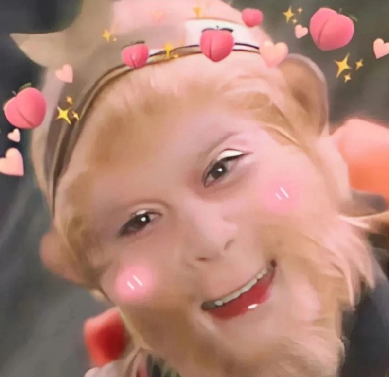 monkey meme 17