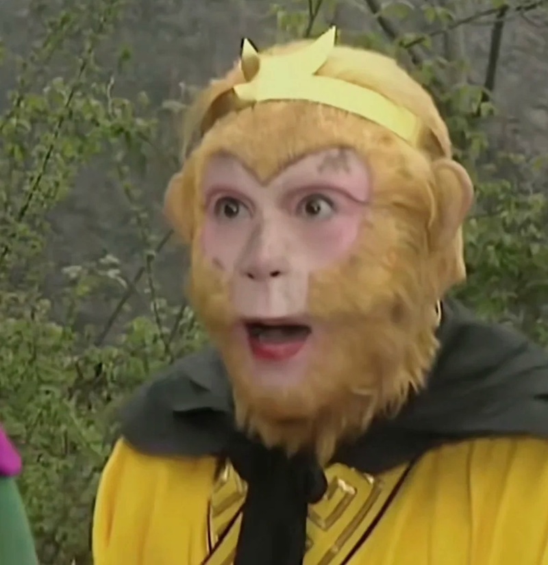 monkey meme 32