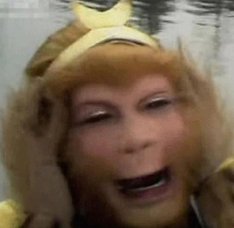 monkey meme 35