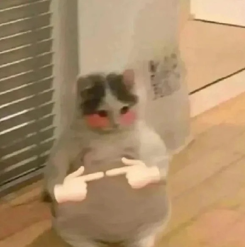ngại meme 3