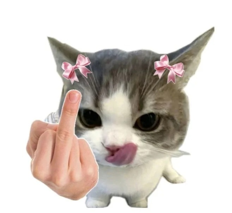 ngón giữa meme 37