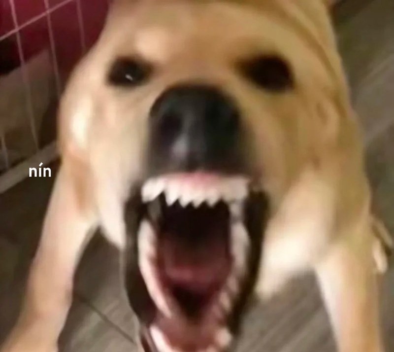 nín meme 13