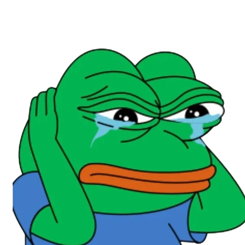 pepe meme 11