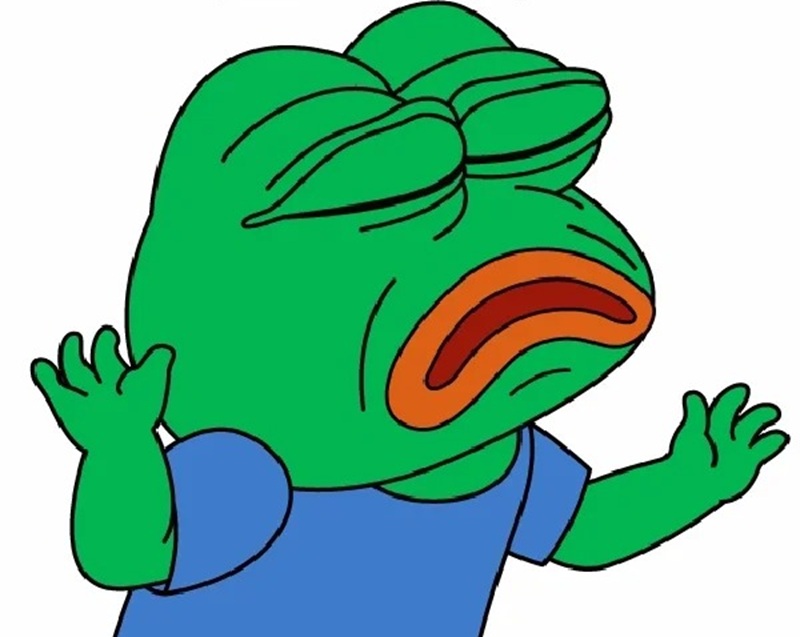 pepe meme 13