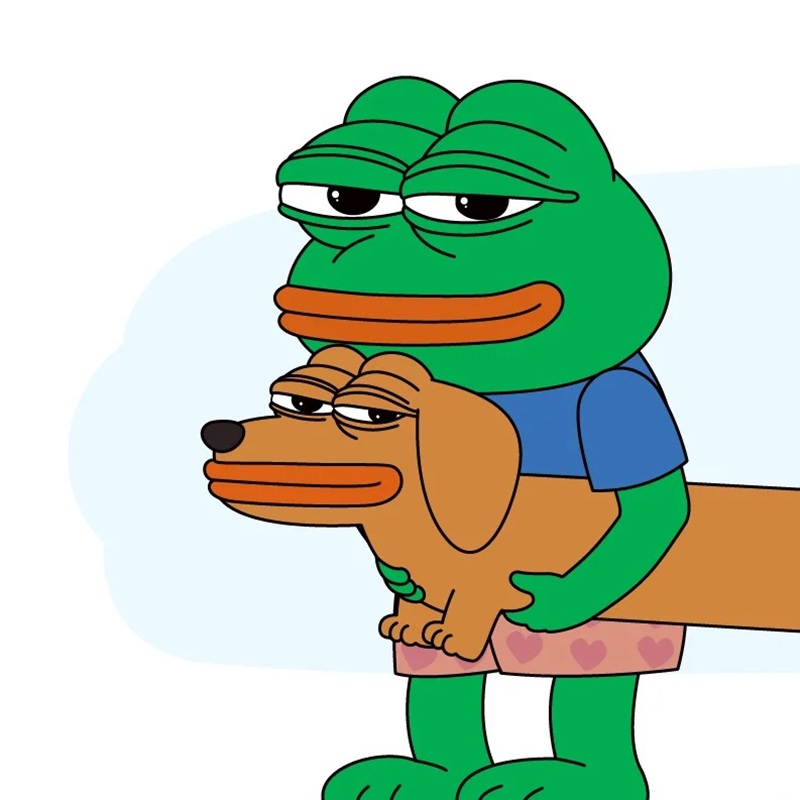 pepe meme 18